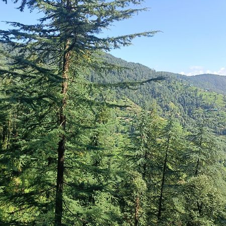 Peace Holiday Homestay Chail ภายนอก รูปภาพ