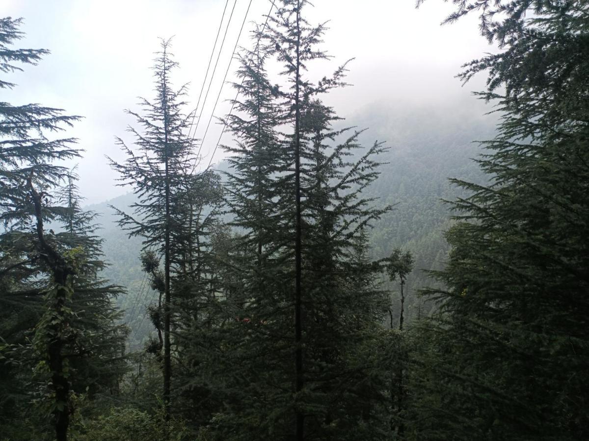 Peace Holiday Homestay Chail ภายนอก รูปภาพ