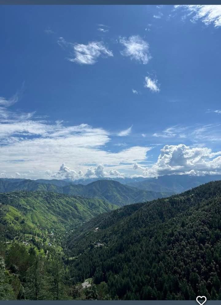 Peace Holiday Homestay Chail ภายนอก รูปภาพ